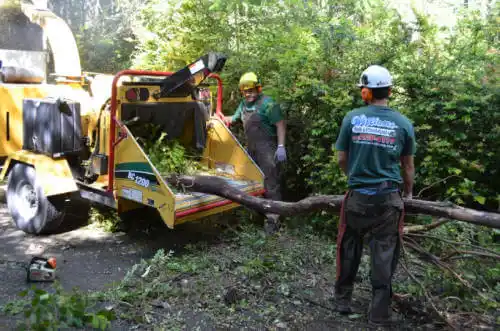 tree services Birmingham